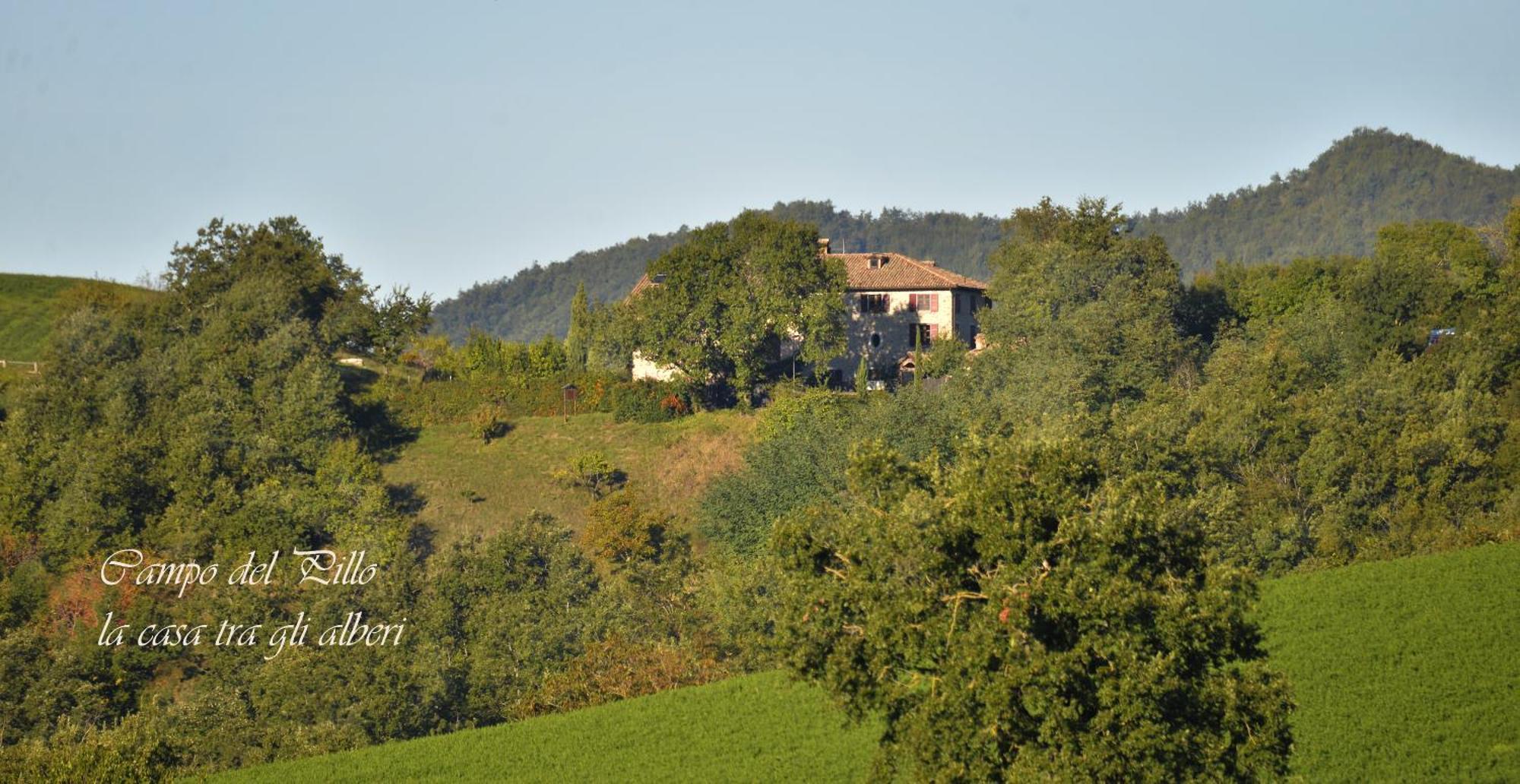 Agriturismo Campo Del Pillo Pietradura Zewnętrze zdjęcie