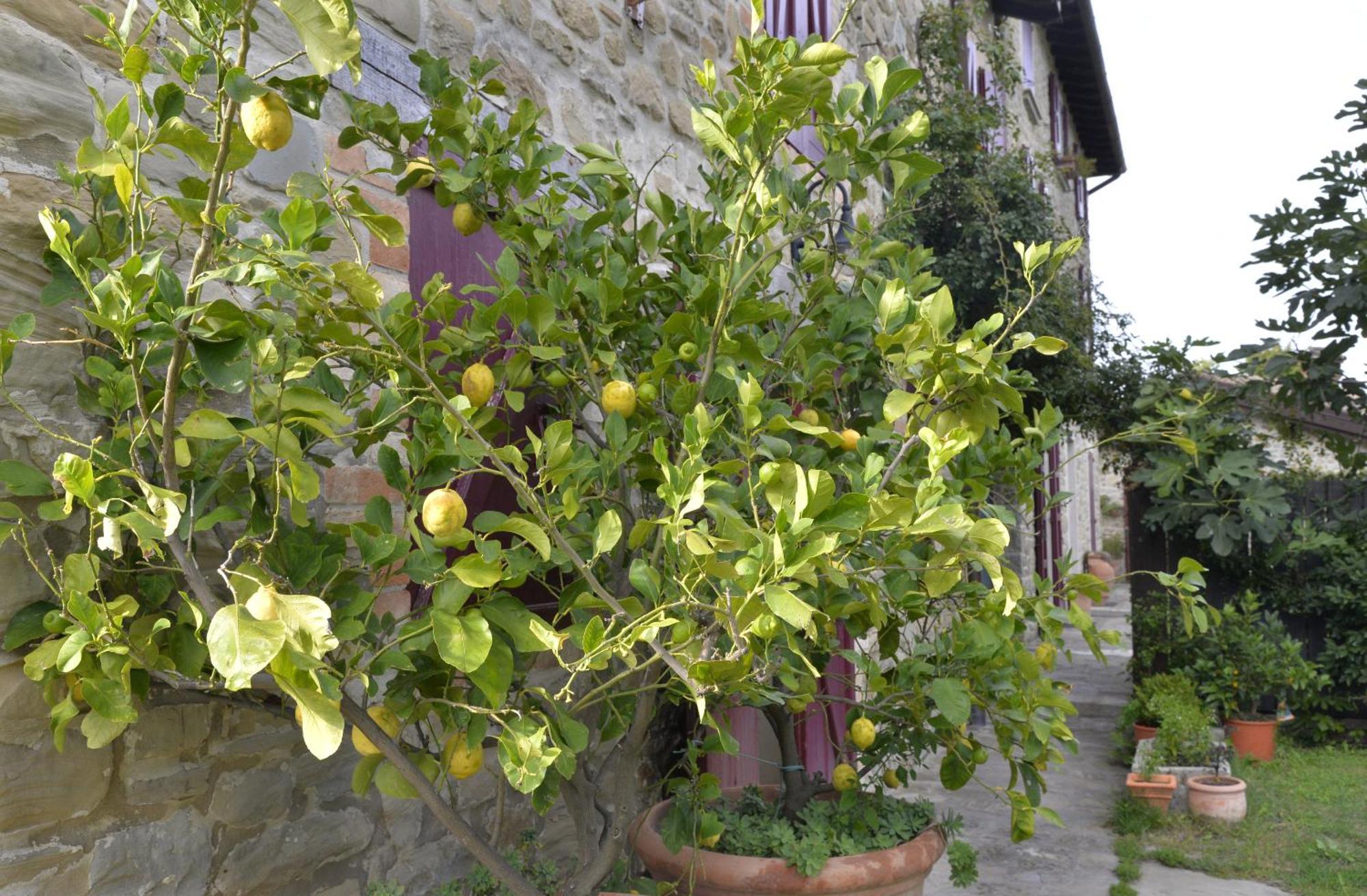 Agriturismo Campo Del Pillo Pietradura Zewnętrze zdjęcie