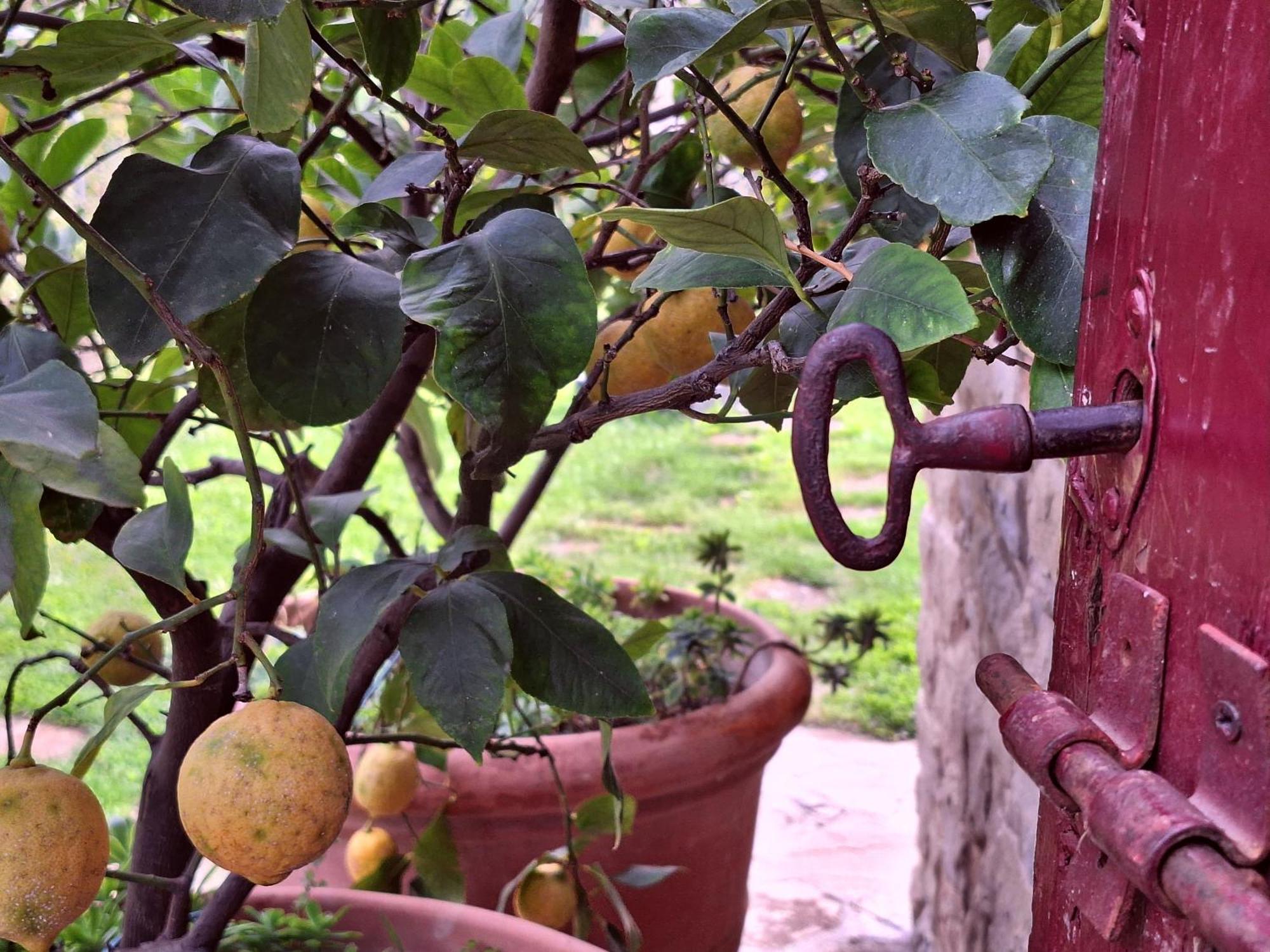 Agriturismo Campo Del Pillo Pietradura Zewnętrze zdjęcie