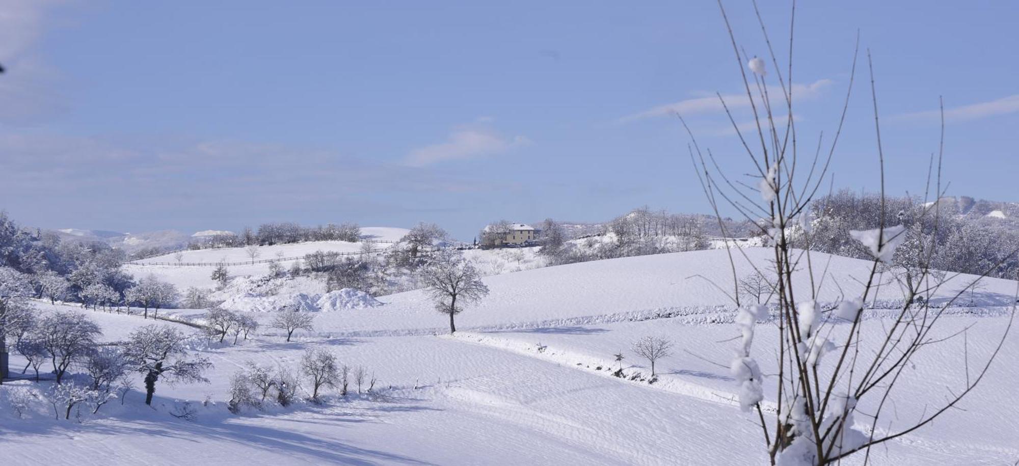 Agriturismo Campo Del Pillo Pietradura Zewnętrze zdjęcie
