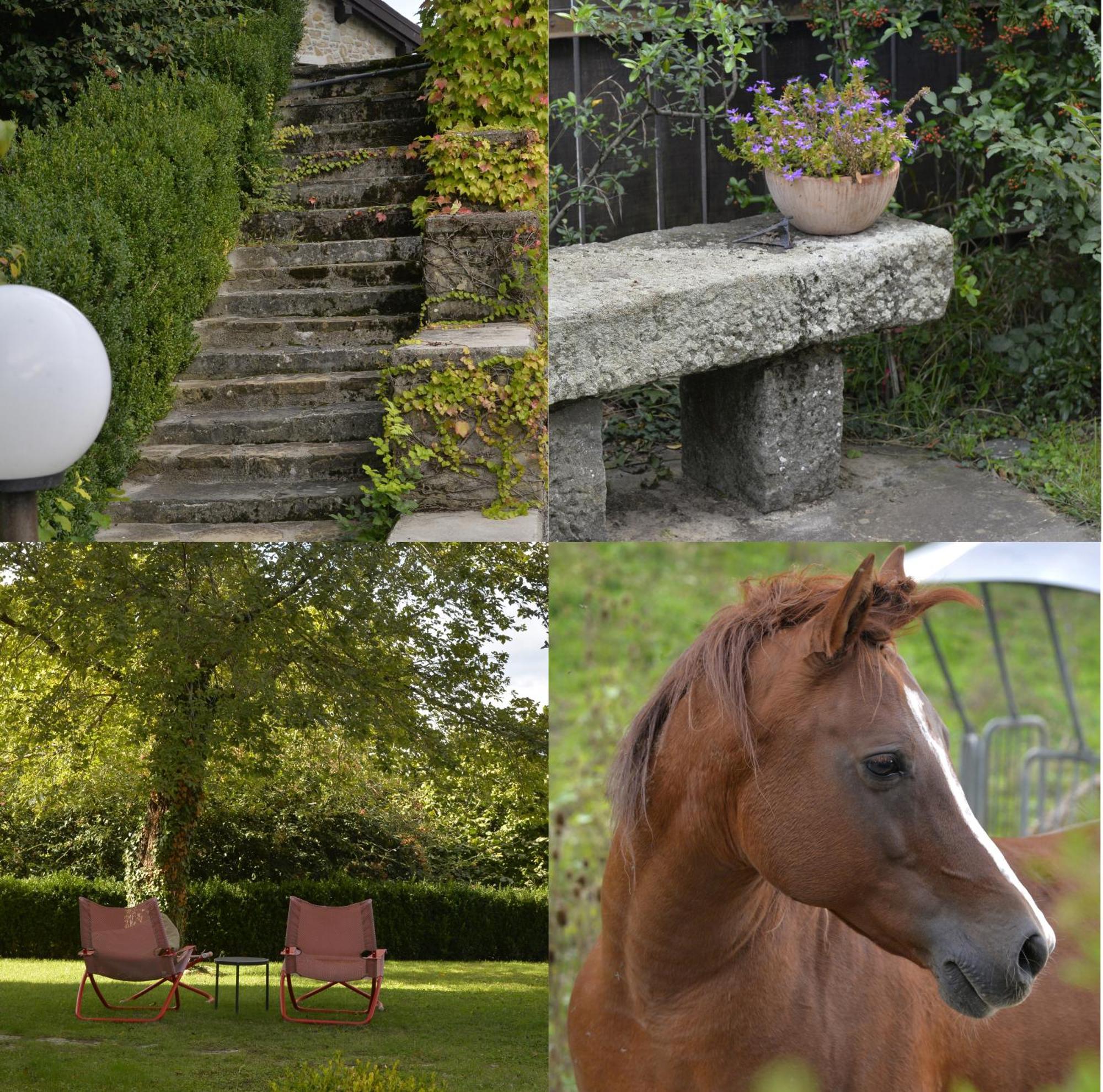 Agriturismo Campo Del Pillo Pietradura Zewnętrze zdjęcie