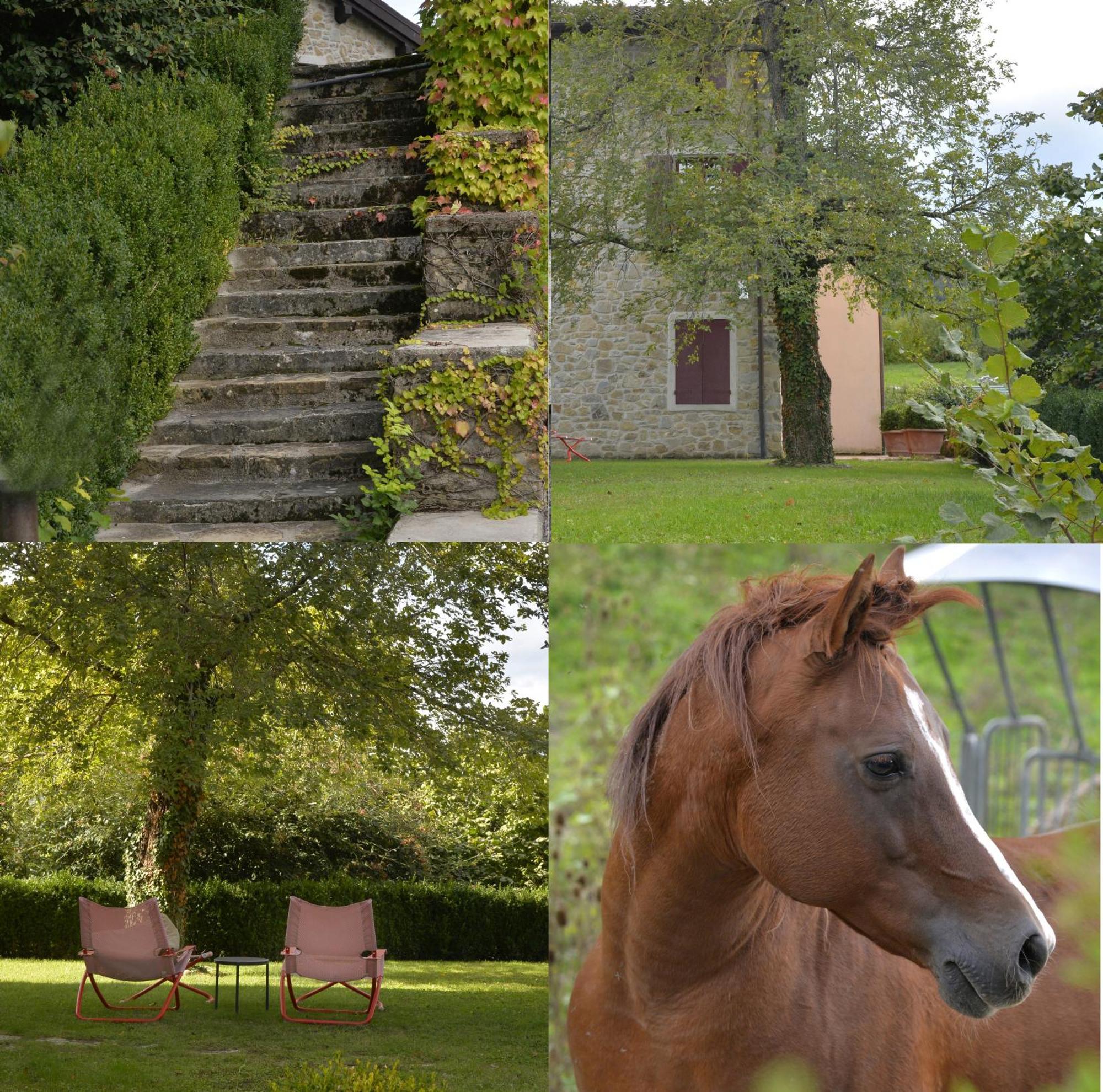 Agriturismo Campo Del Pillo Pietradura Zewnętrze zdjęcie