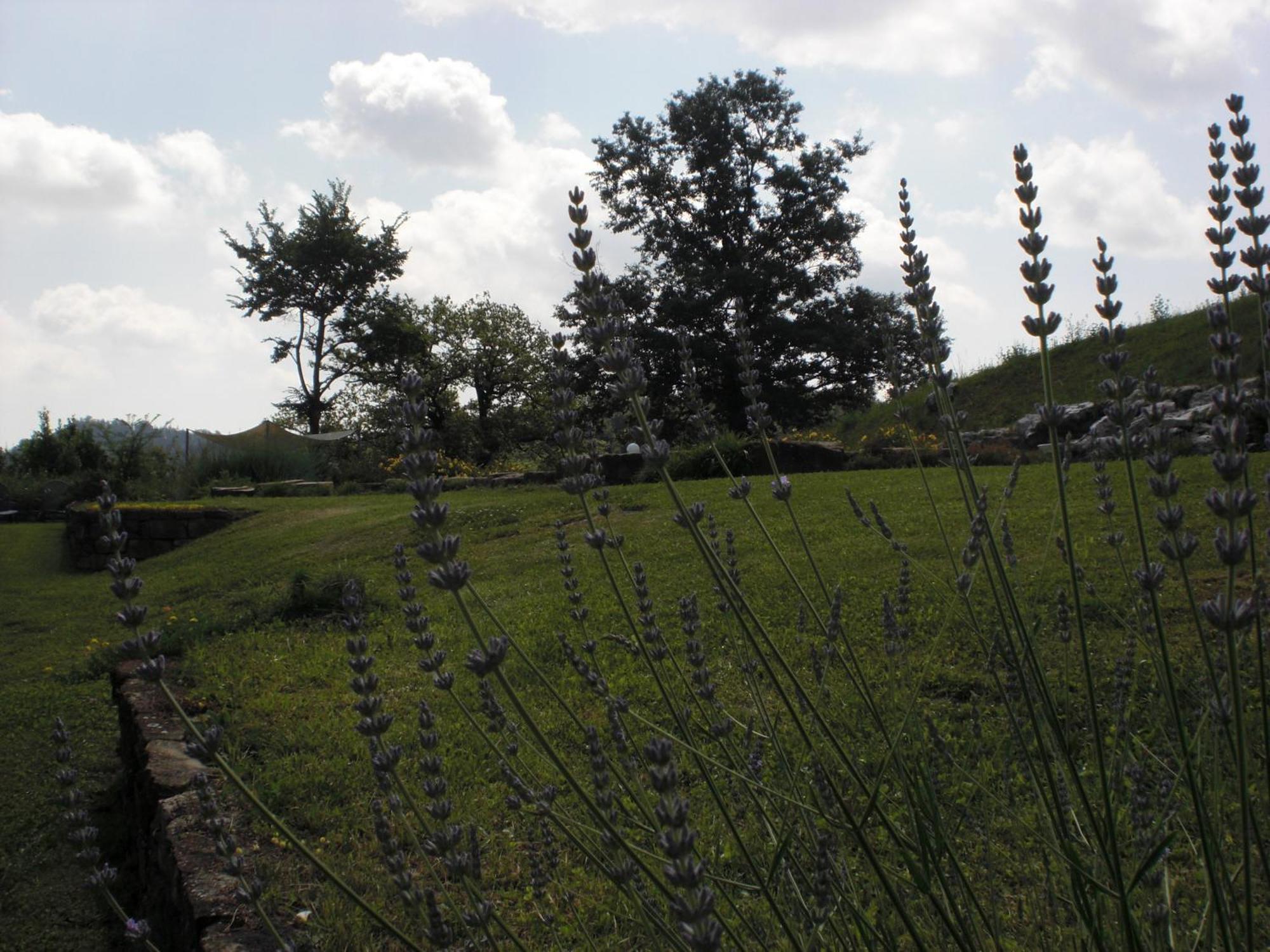 Agriturismo Campo Del Pillo Pietradura Zewnętrze zdjęcie